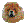 ���{�X�s�b�c